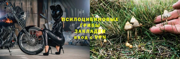 первитин Арсеньев