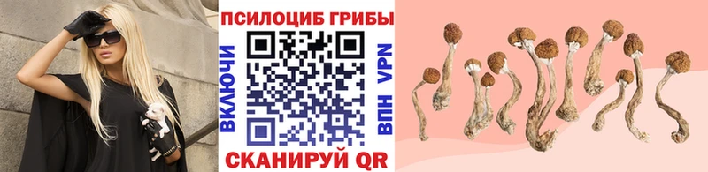 Галлюциногенные грибы ЛСД Бодайбо